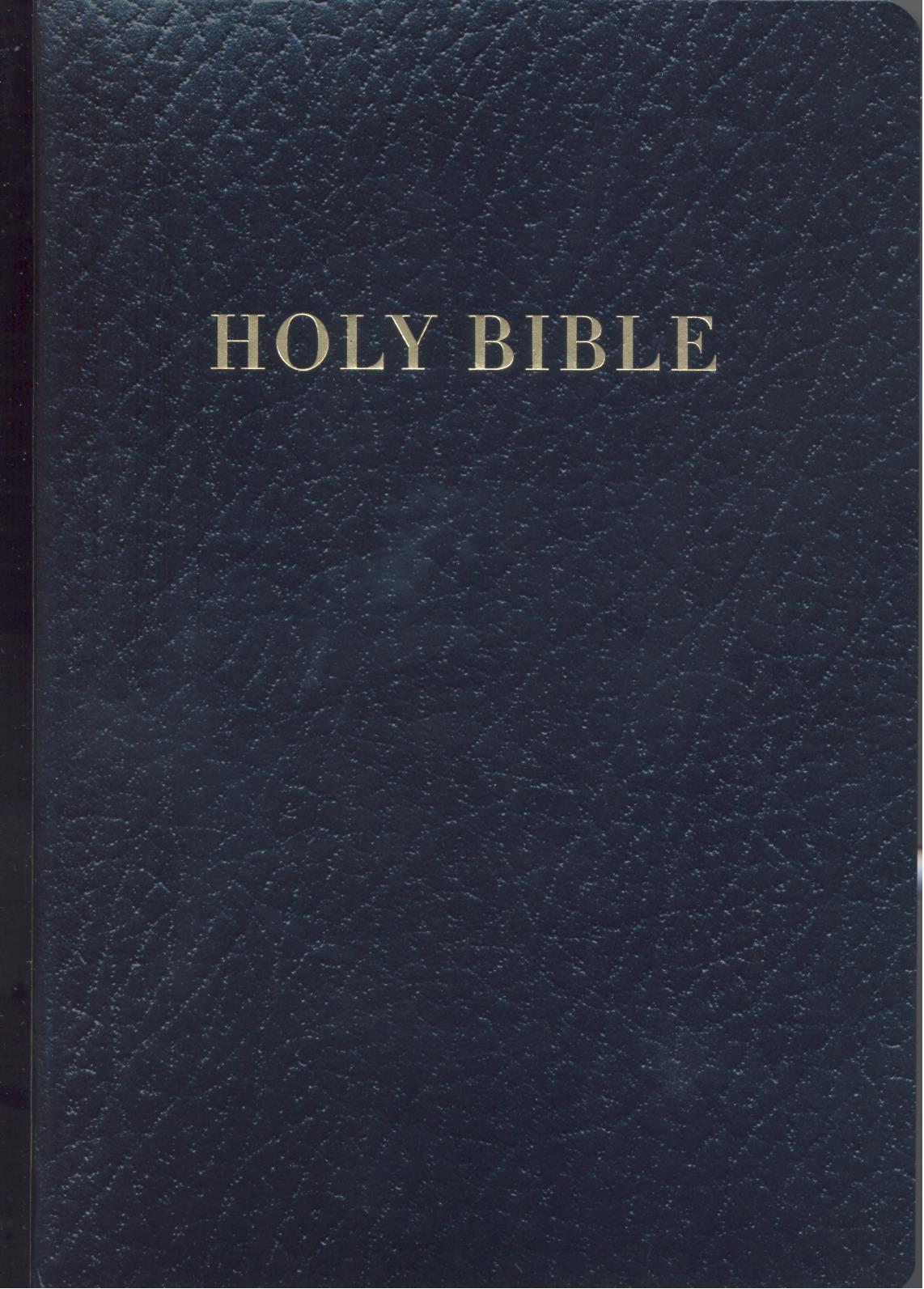Holman Gift and Award Bible - imitation leather