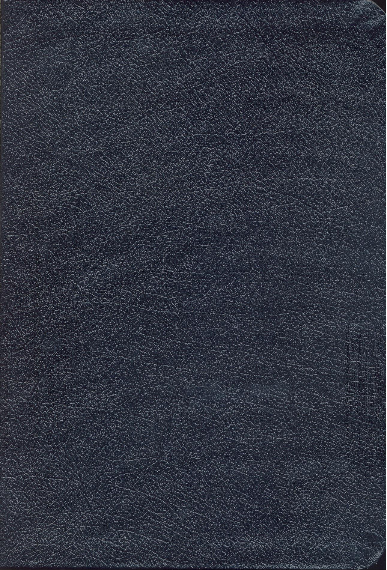 French Bible, Blue Vinyl, Thumb Index, Louis Segond 1910 La Sainte Bible